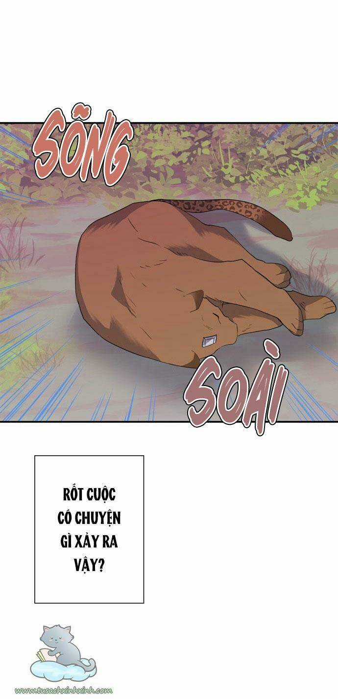Thuần Hóa Quái Thú Thật Tốt Chapter 60 trang 40