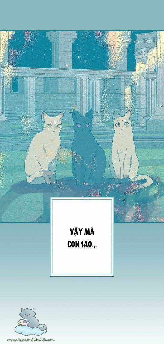 Thuần Hóa Quái Thú Thật Tốt Chapter 64 trang 42