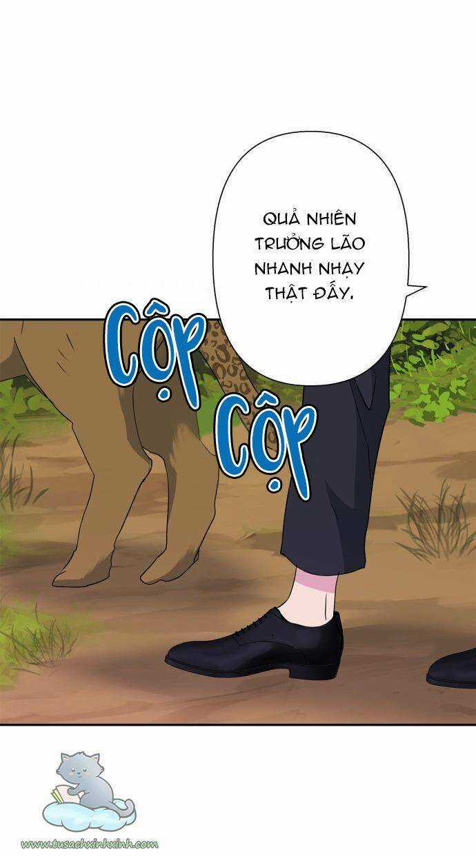 Thuần Hóa Quái Thú Thật Tốt Chapter 70 trang 35