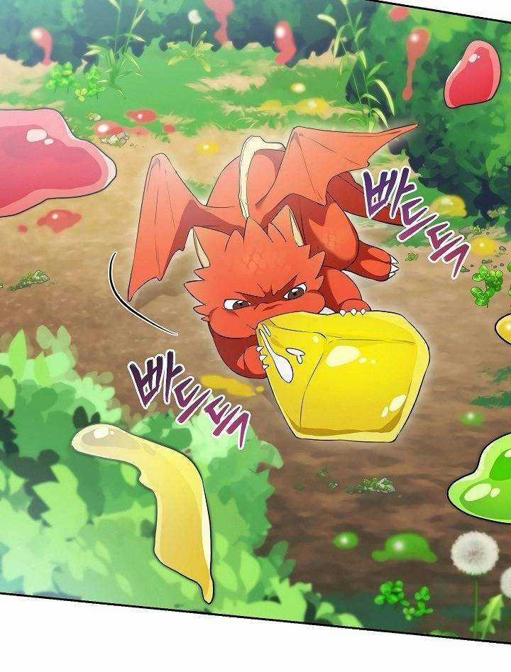 Thuần Thú Sư Thiên Tài Của Học Viện Chapter 4 trang 76