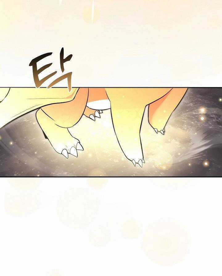 Thuần Thú Sư Thiên Tài Chương 1 trang 69