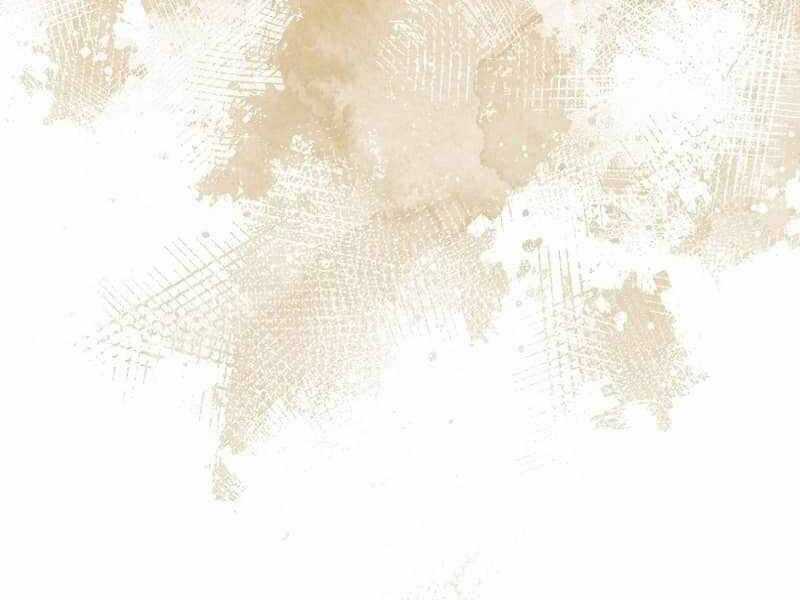 Thuần Thú Sư Thiên Tài Chương 34 trang 171