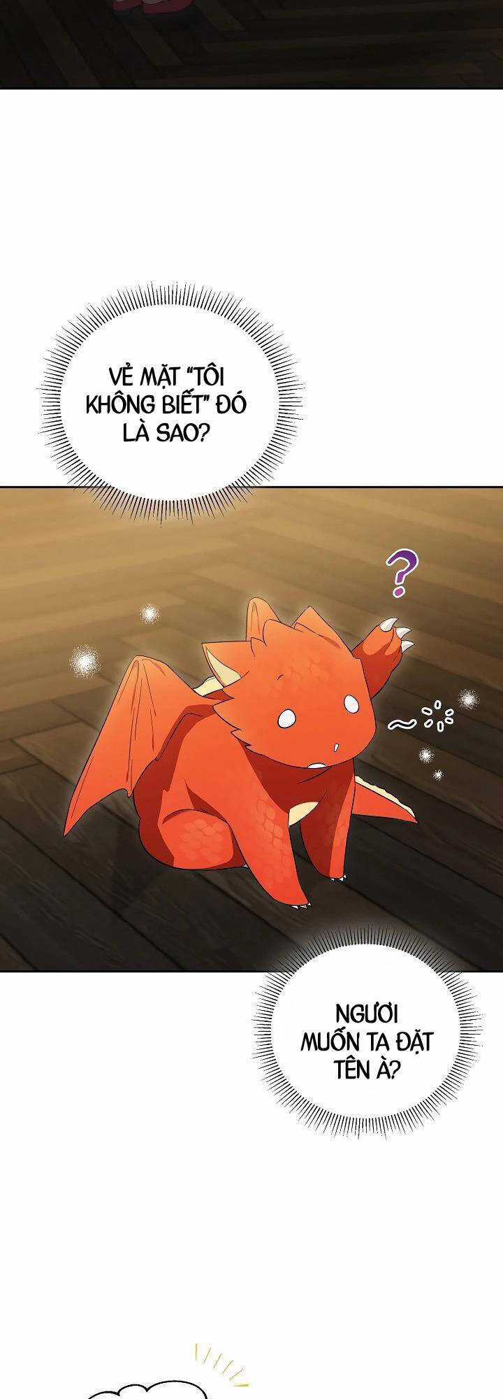 Thuần Thú Sư Thiên Tài Chương 4 trang 27