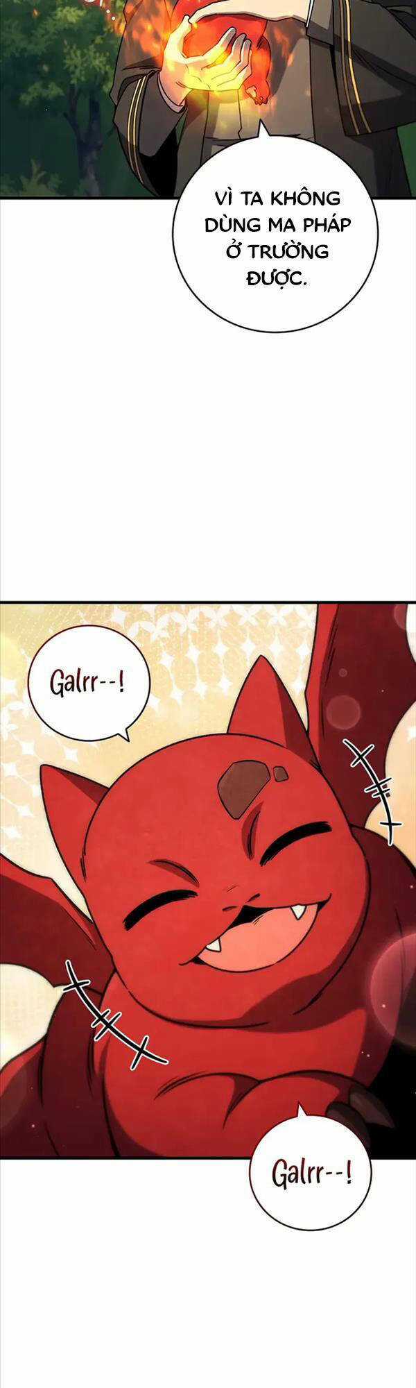 Thực Long Ma Pháp Sư Chapter 21 trang 24