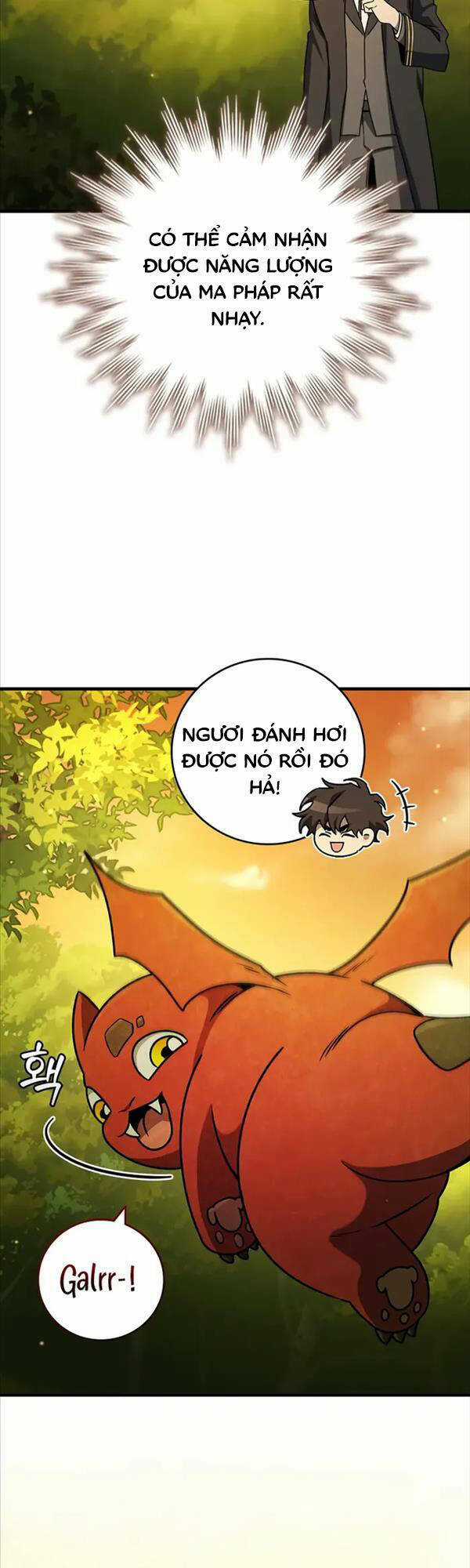 Thực Long Ma Pháp Sư Chapter 21 trang 27