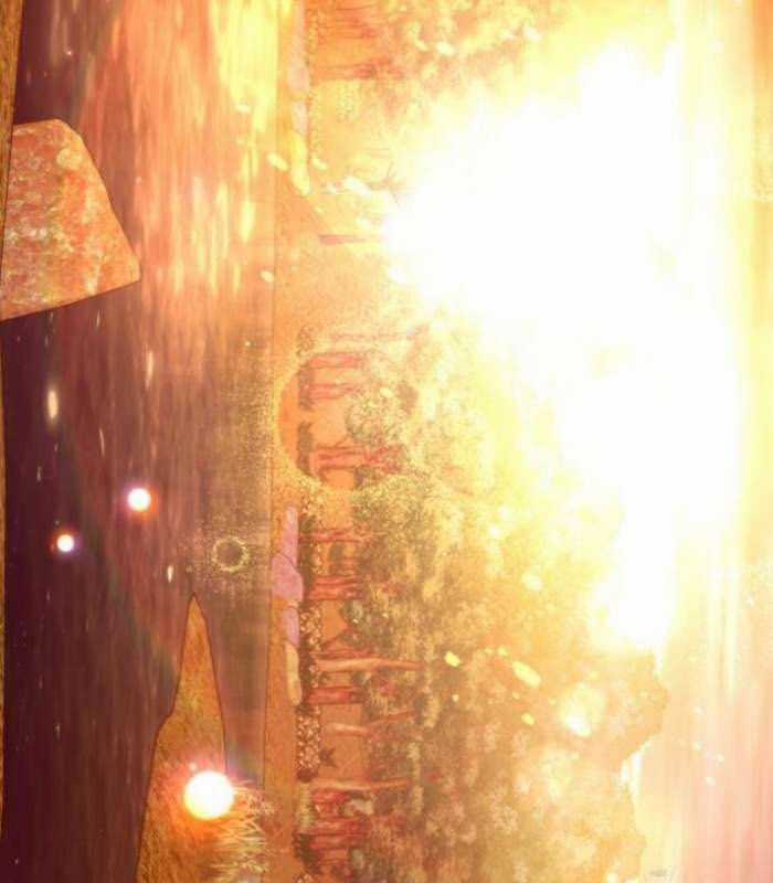 Thực Long Ma Pháp Sư Chapter 75 trang 165