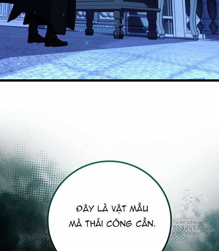 Thực Long Ma Pháp Sư Chapter 76 trang 177