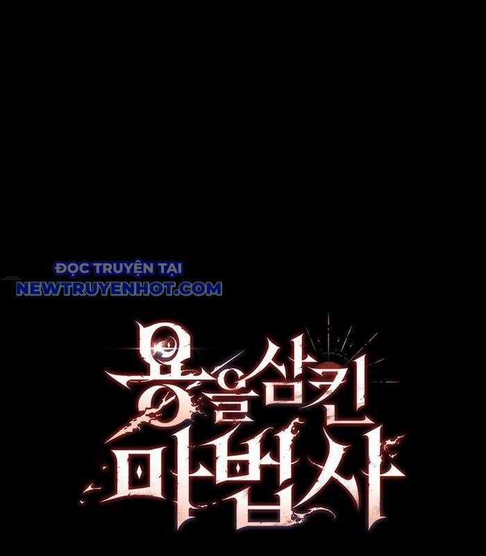 Thực Long Ma Pháp Sư Chapter 89 trang 177