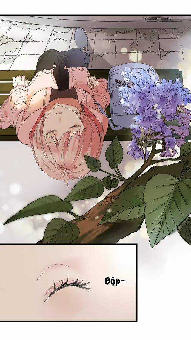 Thực Nhị Chapter 1 trang 19