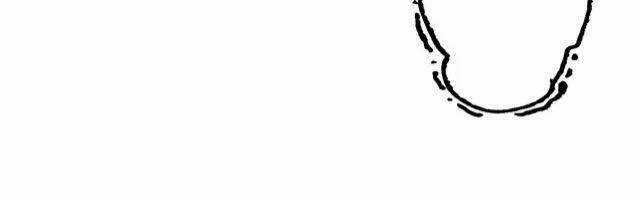 Thực Nhị Chapter 12.2 trang 16