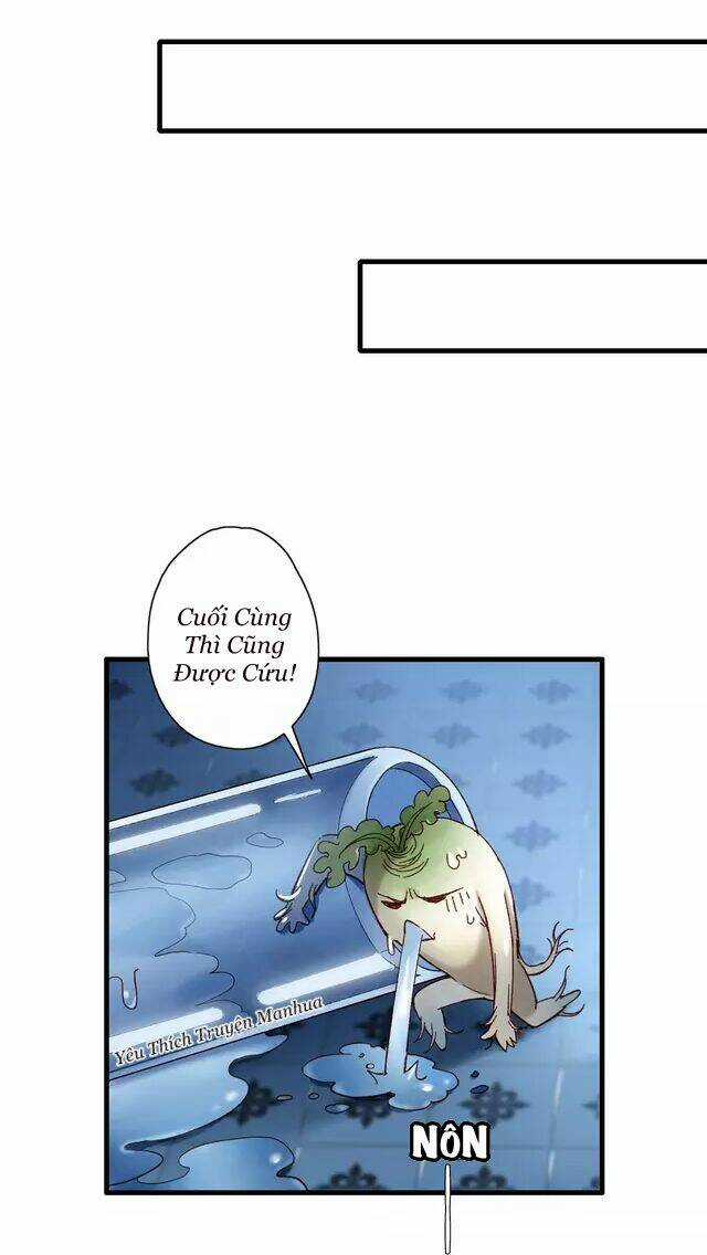 Thực Nhị Chapter 8 trang 10