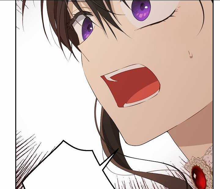 Thực Ra Tôi Mới Là Thật Chapter 117.2 trang 29