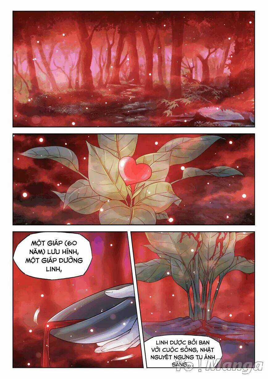 Thục Sơn Phong Lưu Trướng Chapter 24 trang 10