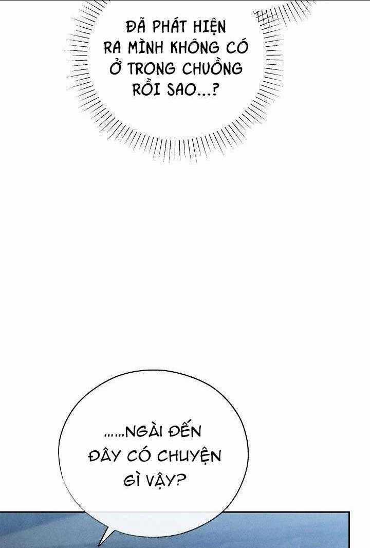 Thuốc Độc Chapter 12 trang 54