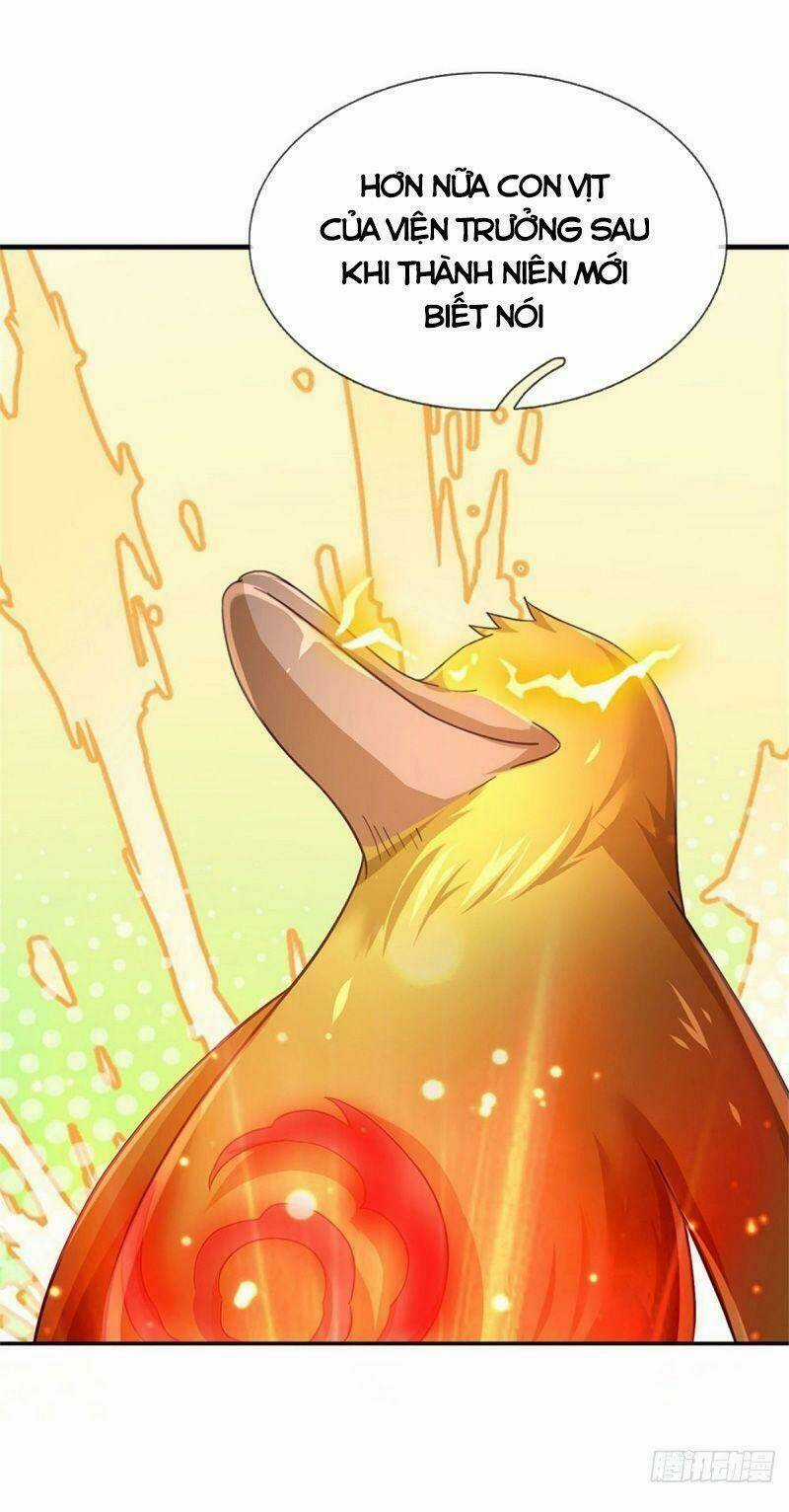 Thuộc Tính Của Ta Đều Tăng Vào Sức Mạnh Chapter 39 trang 32