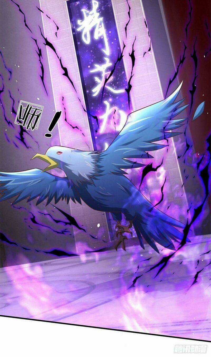 Thuộc Tính Của Ta Đều Tăng Vào Sức Mạnh Chapter 45 trang 13