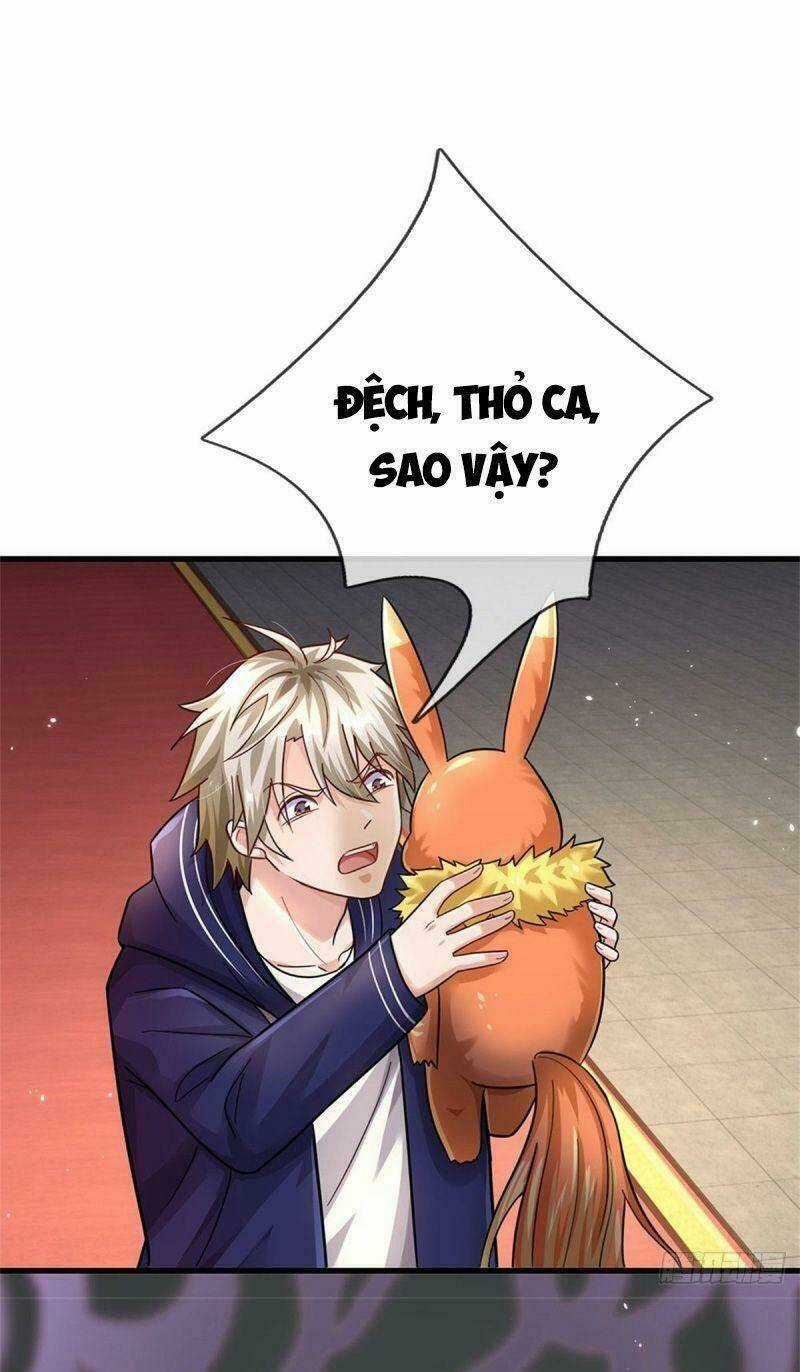 Thuộc Tính Của Ta Đều Tăng Vào Sức Mạnh Chapter 47 trang 20