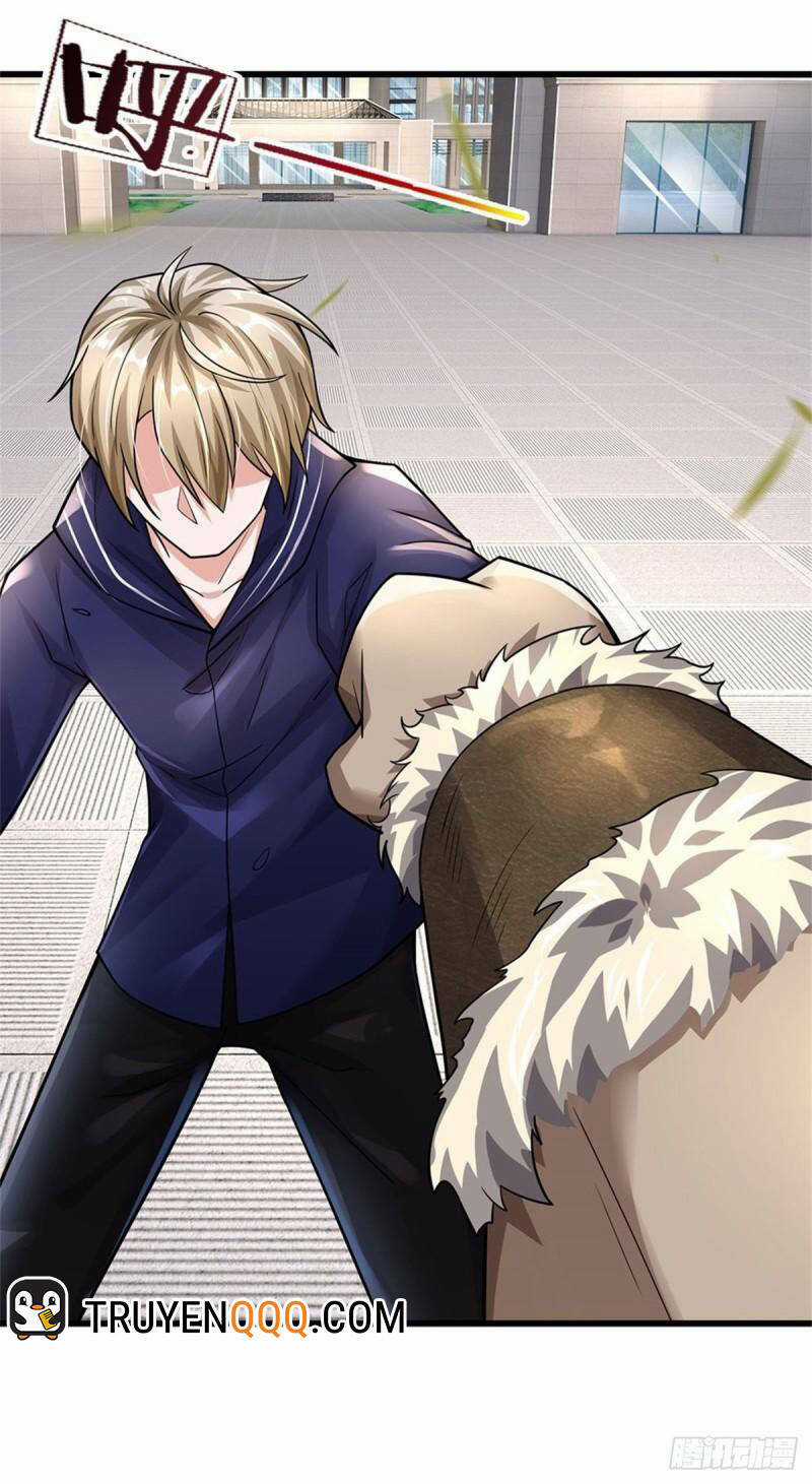 Thuộc Tính Của Ta Đều Tăng Vào Sức Mạnh Chapter 66 trang 28