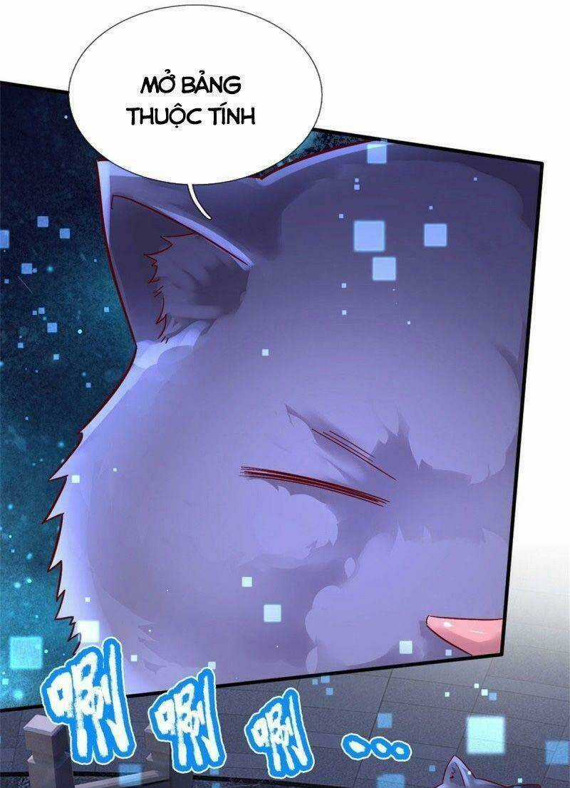 Thuộc Tính Của Ta Đều Tăng Vào Sức Mạnh Chapter 9 trang 6