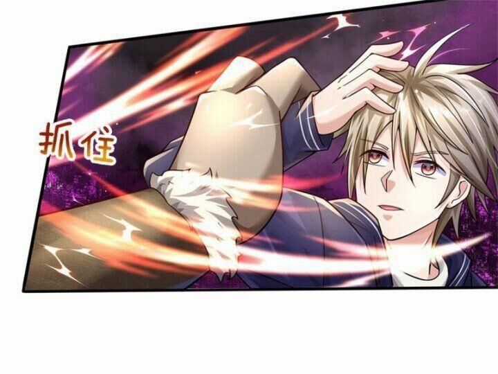 Thuộc Tính Của Ta Đều Thêm Sức Mạnh Chapter 67 trang 13