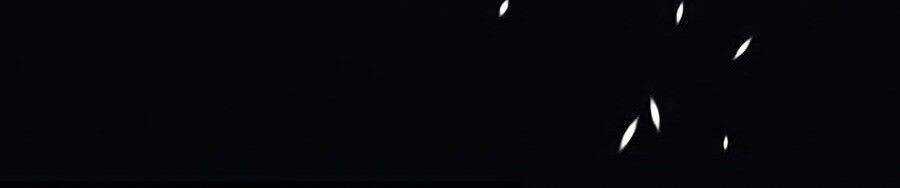 Thương Nhân Thánh Thần Chương 1 trang 13