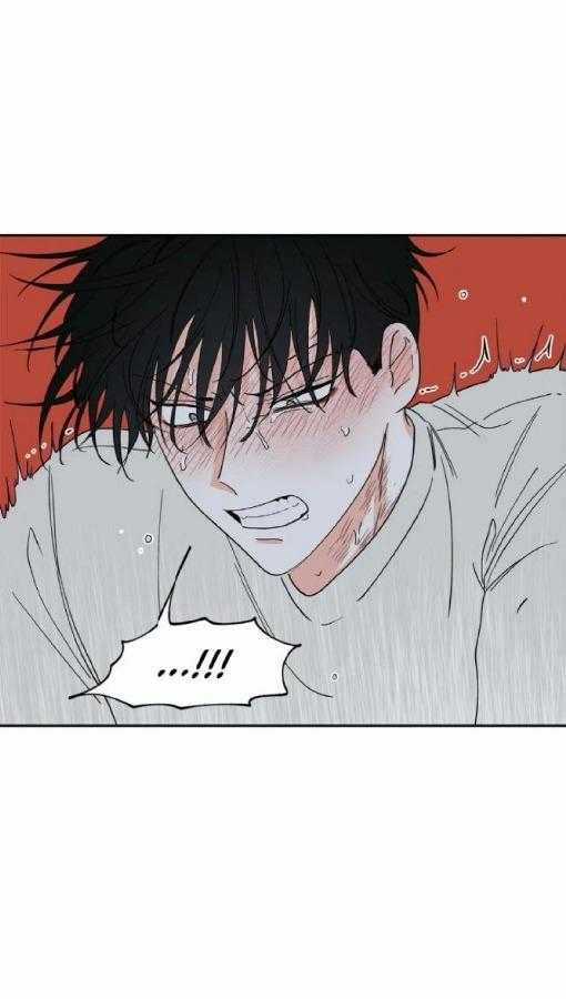 Thủy Triều Thấp Lúc Chạng Vạng Chapter 12 trang 2