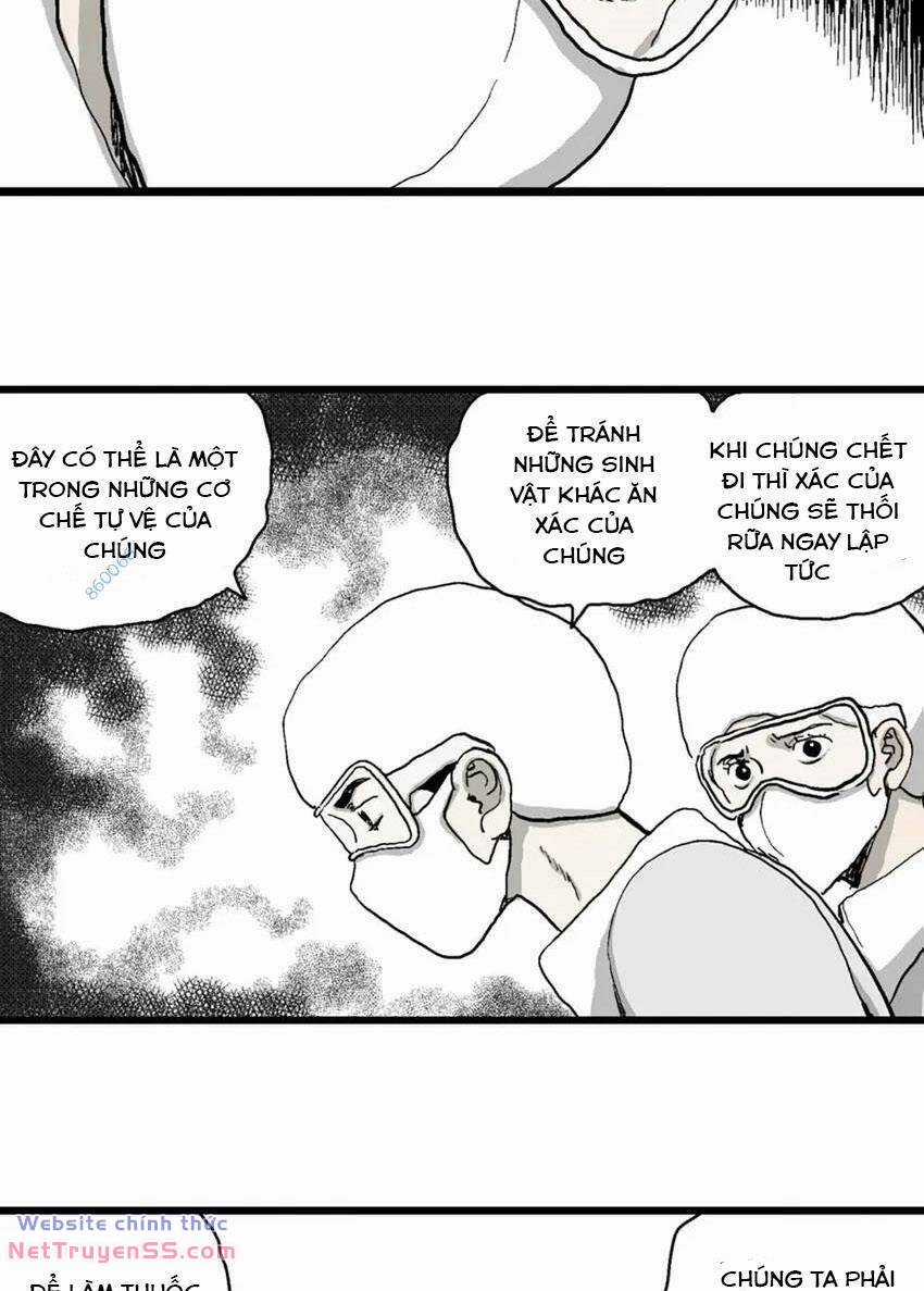 Thuyết Tiến Hóa Của Loài Người Chapter 80 trang 24