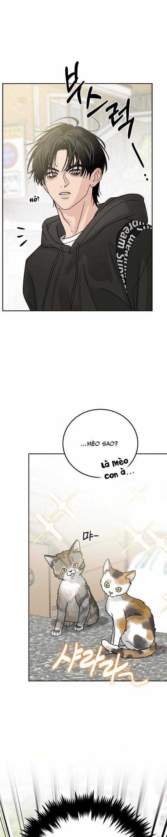 Thuyết Tình Yêu Ích Kỷ Món quà ý nghĩa nhất cho người thân yêu Chapter 3 trang 15