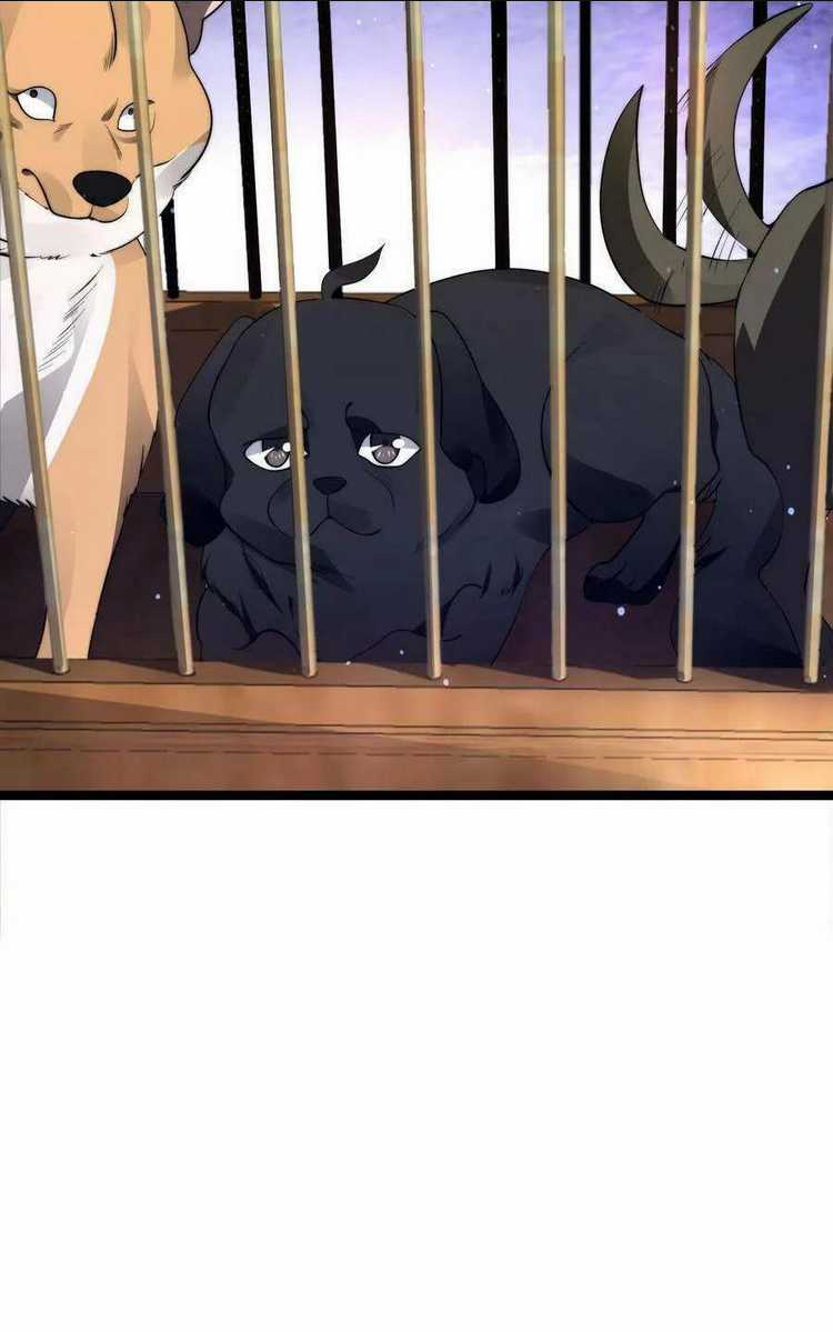 Tích Trữ 10 Vạn Vật Tư Trước Ngày Tận Thế Chapter 2 trang 7