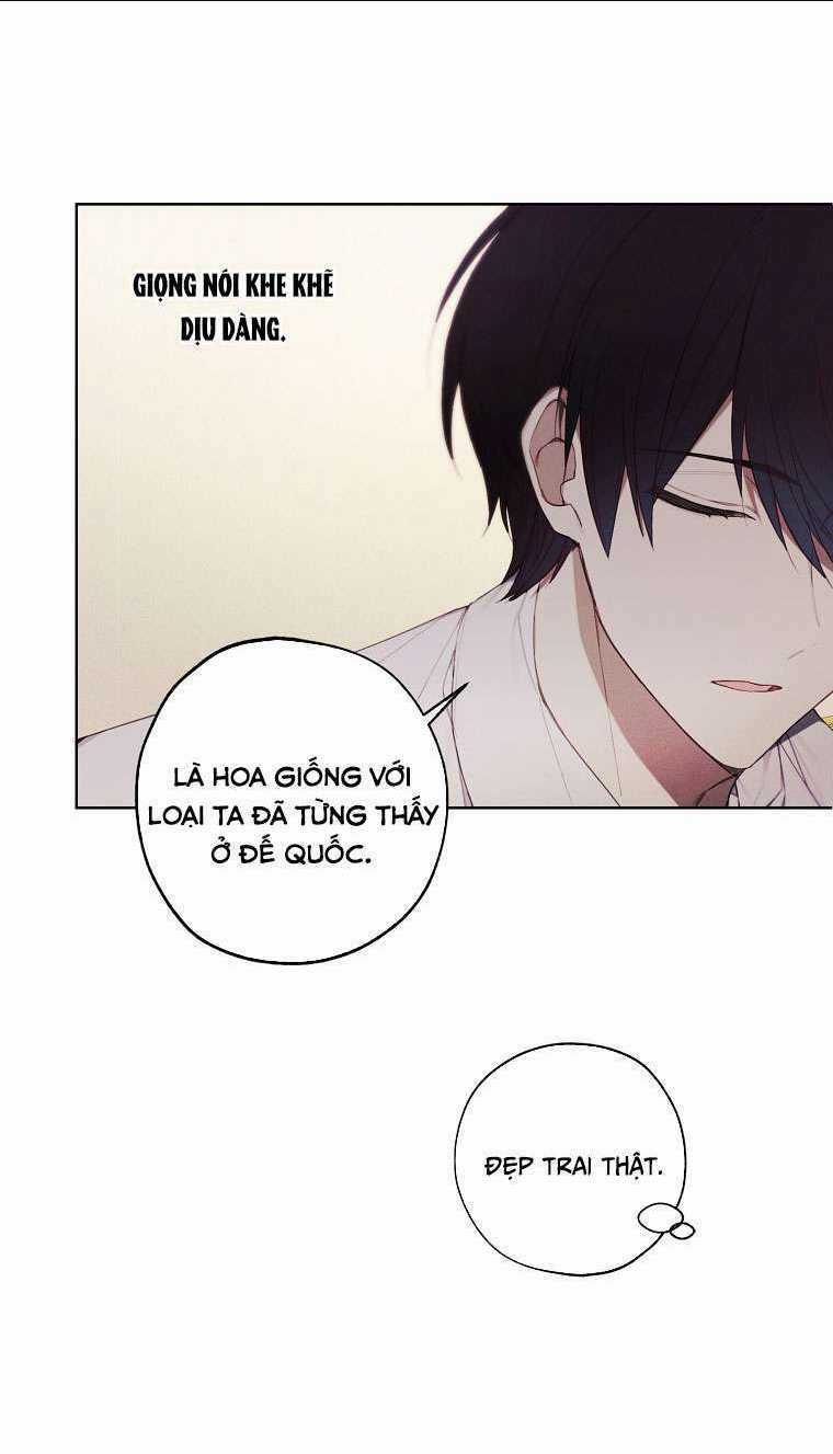 Tiệm Búp Bê Của Công Chúa Chapter 28 trang 13