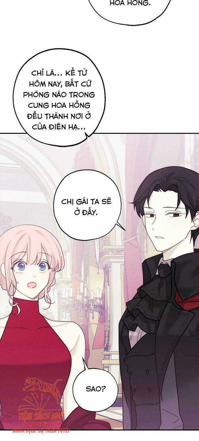 Tiệm Búp Bê Của Công Chúa Chapter 35 trang 3