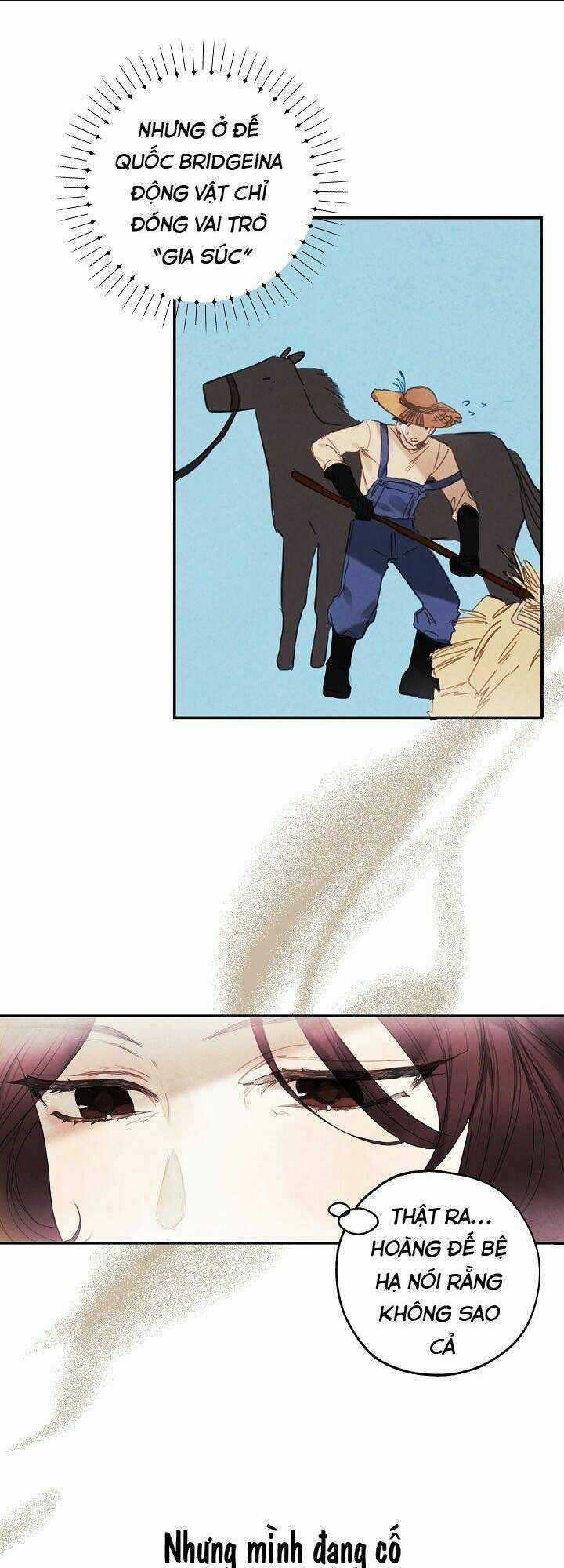 Tiệm Búp Bê Của Công Chúa Chapter 5 trang 11