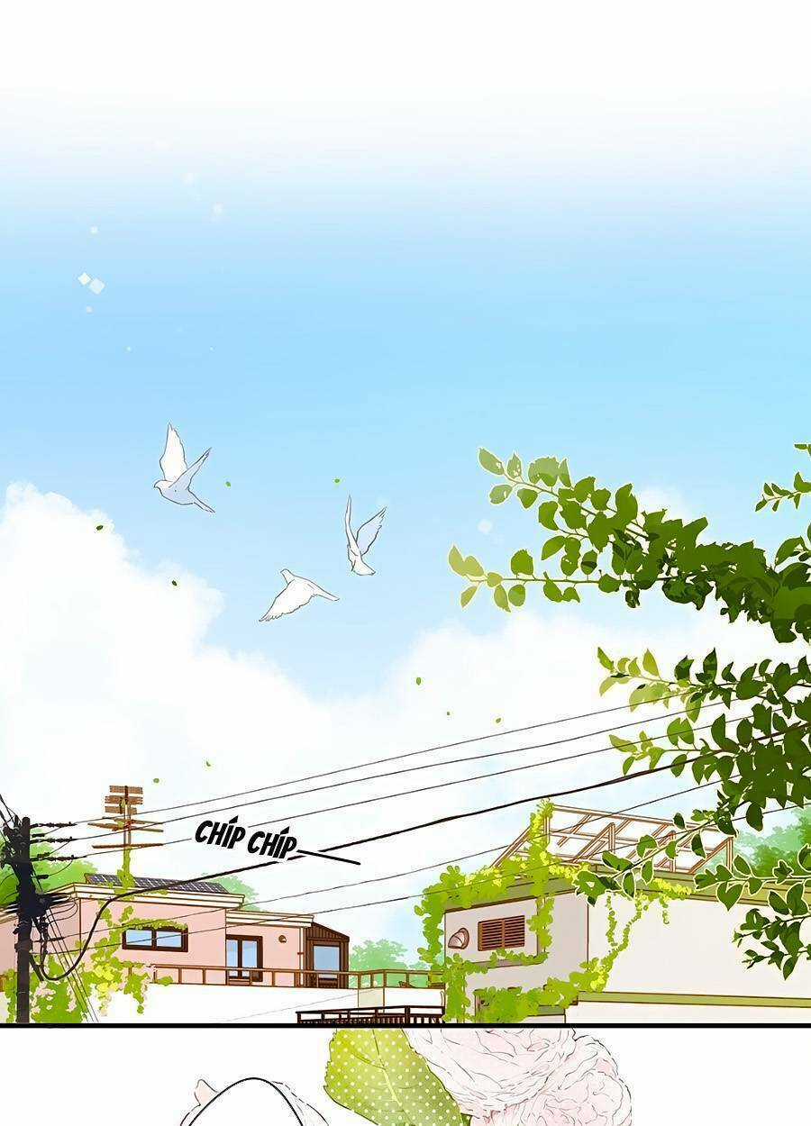 Tiệm Hoa Hướng Dương Góc Phố Chapter 25 trang 1