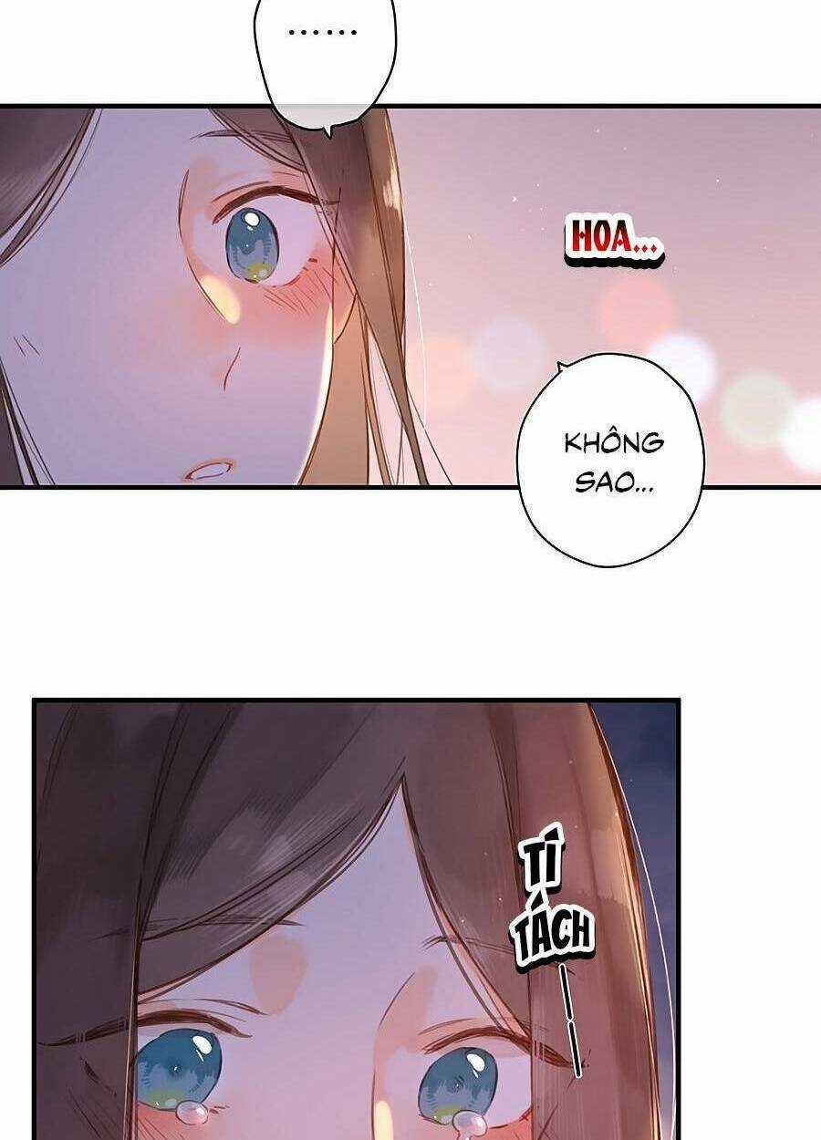 Tiệm Hoa Hướng Dương Góc Phố Chapter 35 trang 52