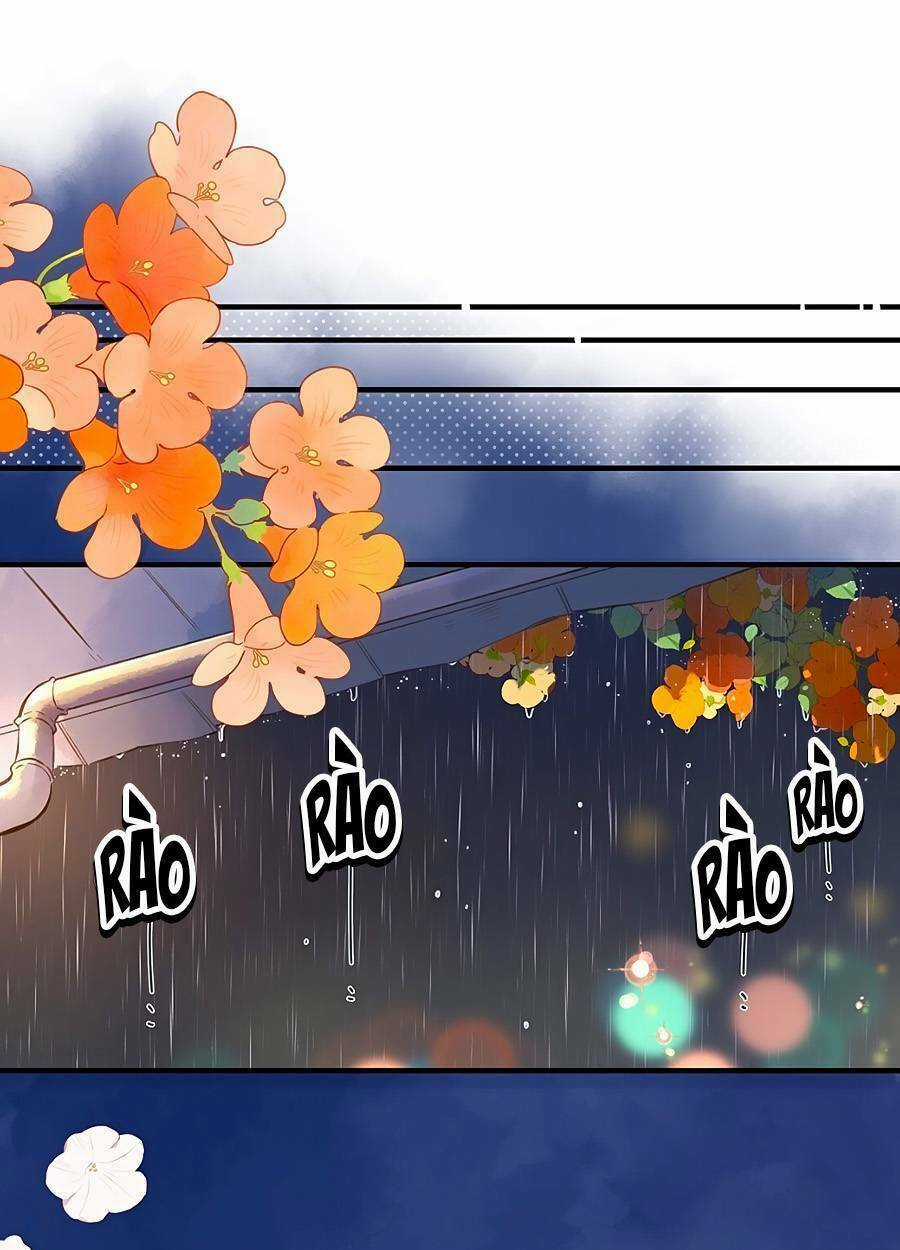 Tiệm Hoa Hướng Dương Góc Phố Chapter 38 trang 1