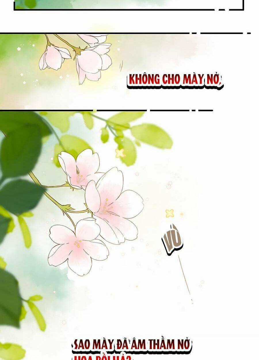 Tiệm Hoa Hướng Dương Góc Phố Chapter 40 trang 38
