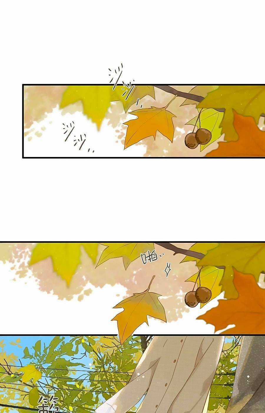 Tiệm Hoa Hướng Dương Góc Phố Chapter 45 trang 1