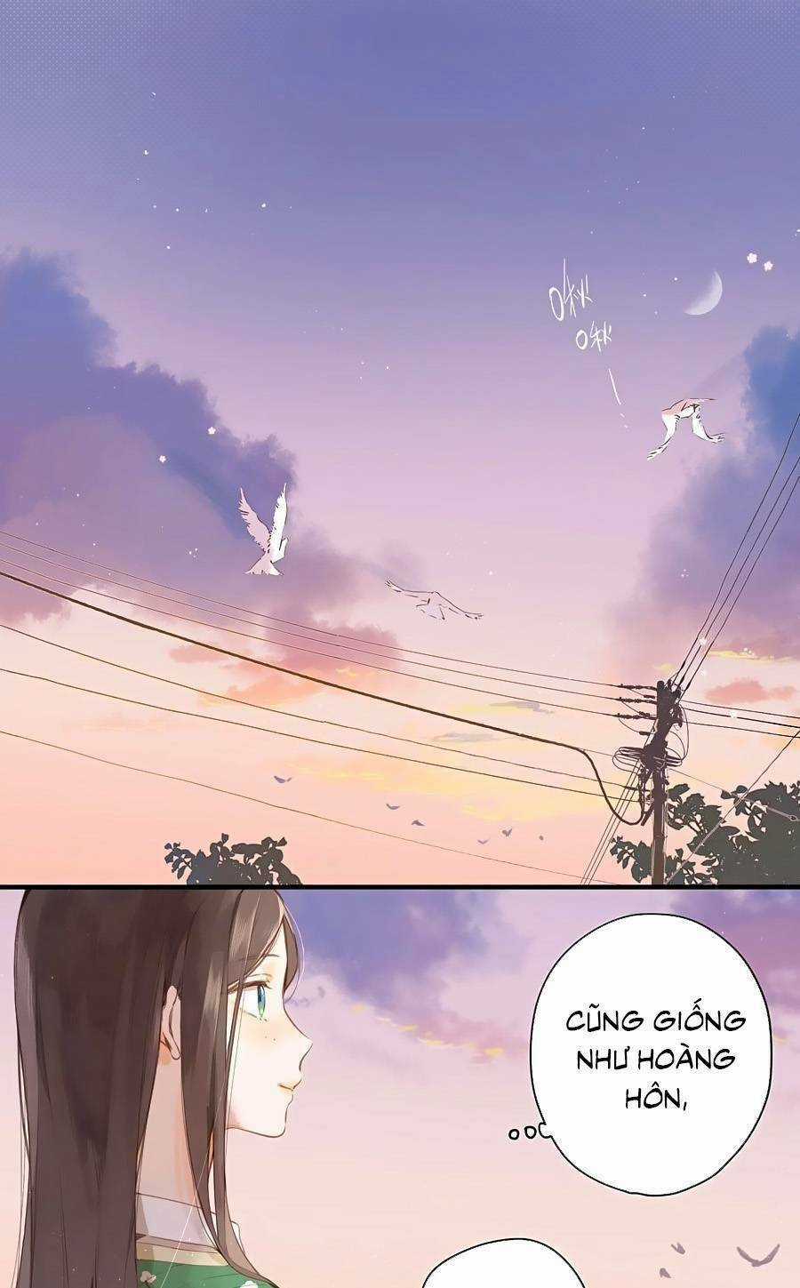 Tiệm Hoa Hướng Dương Góc Phố Chapter 47 trang 1