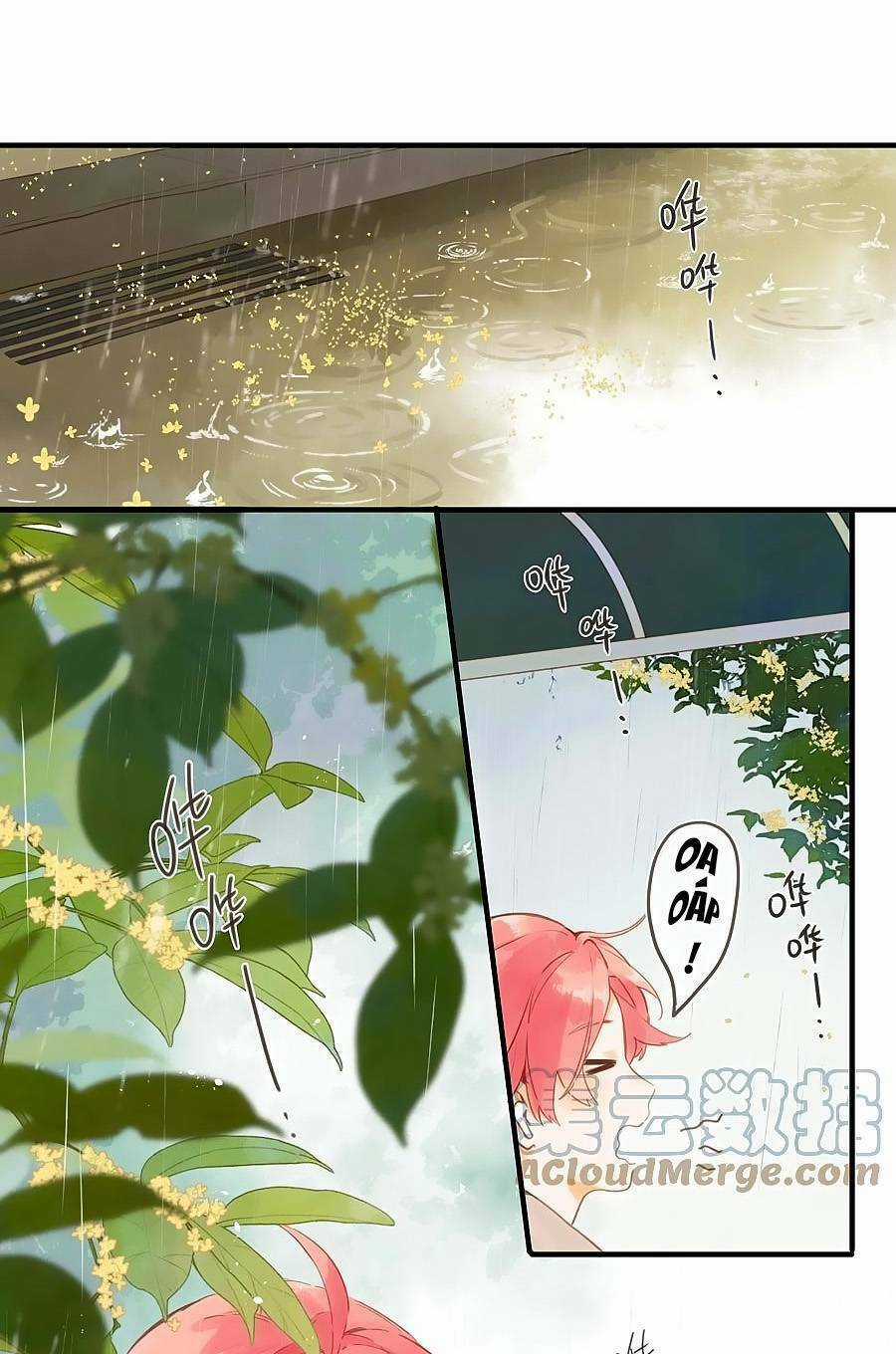 Tiệm Hoa Hướng Dương Góc Phố Chapter 48 trang 1