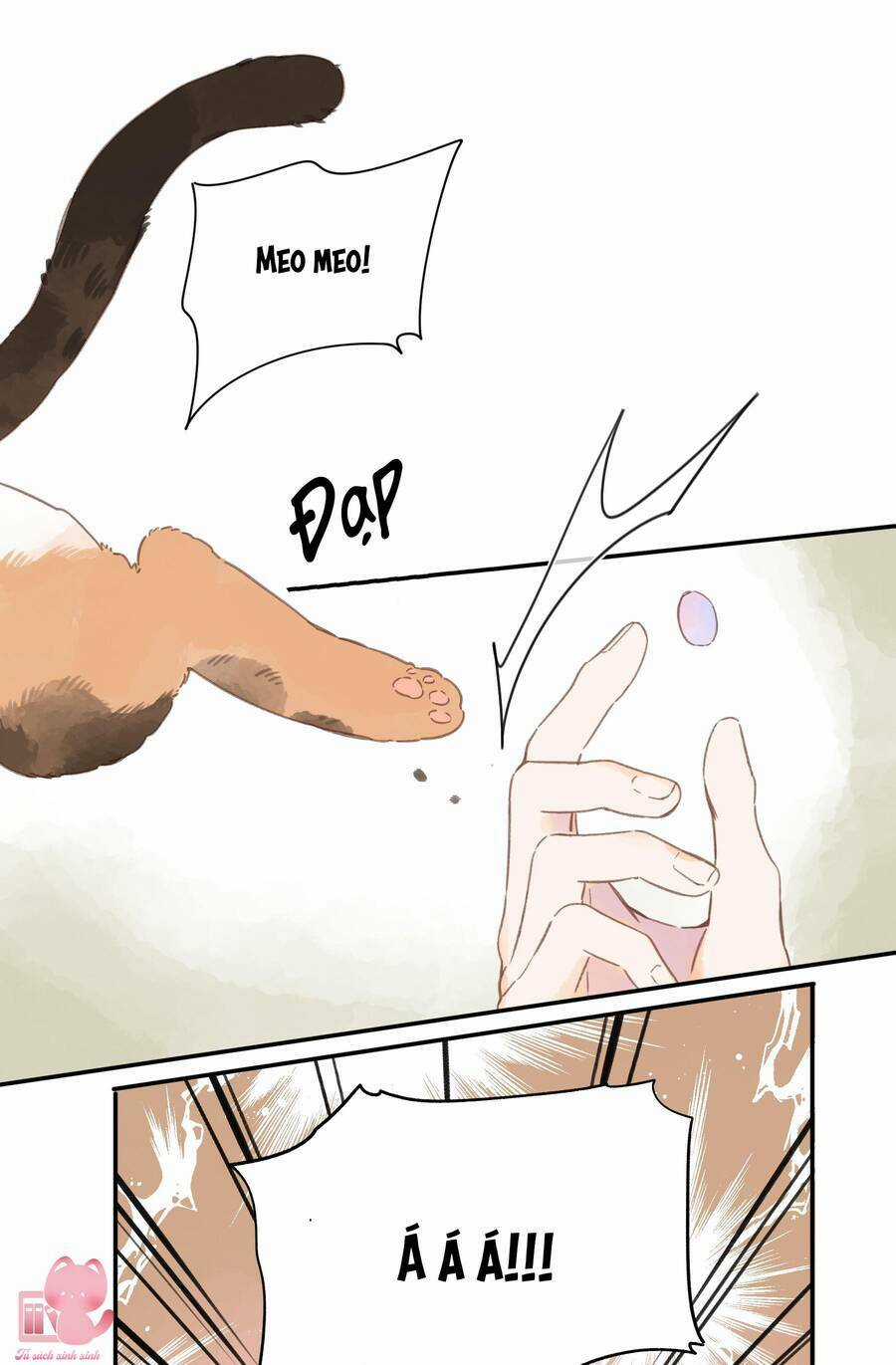 Tiệm Hoa Hướng Dương Góc Phố Chapter 68 trang 11