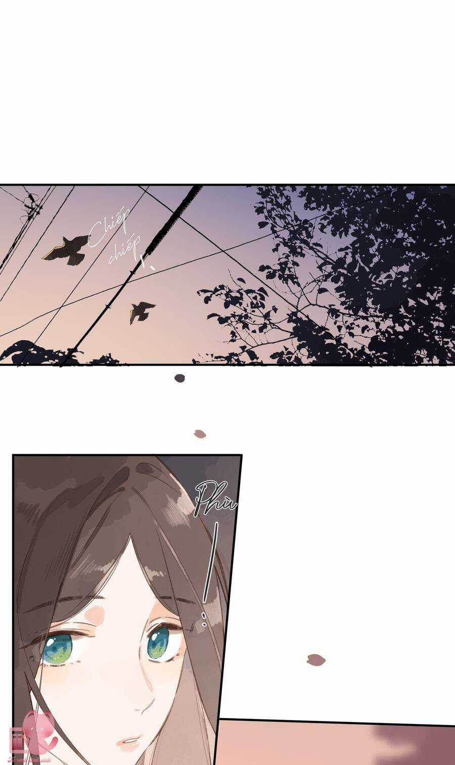 Tiệm Hoa Hướng Dương Góc Phố Chapter 68 trang 21