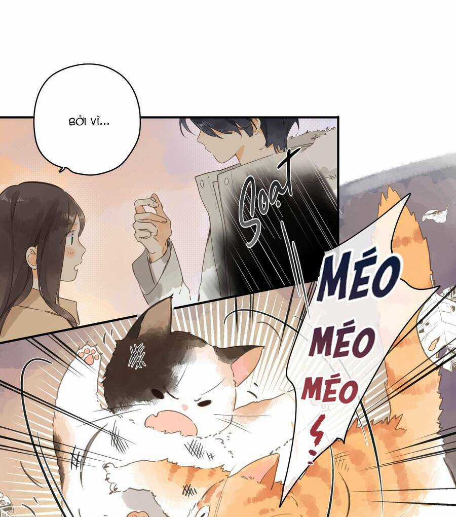 Tiệm Hoa Hướng Dương Góc Phố Chapter 68 trang 9