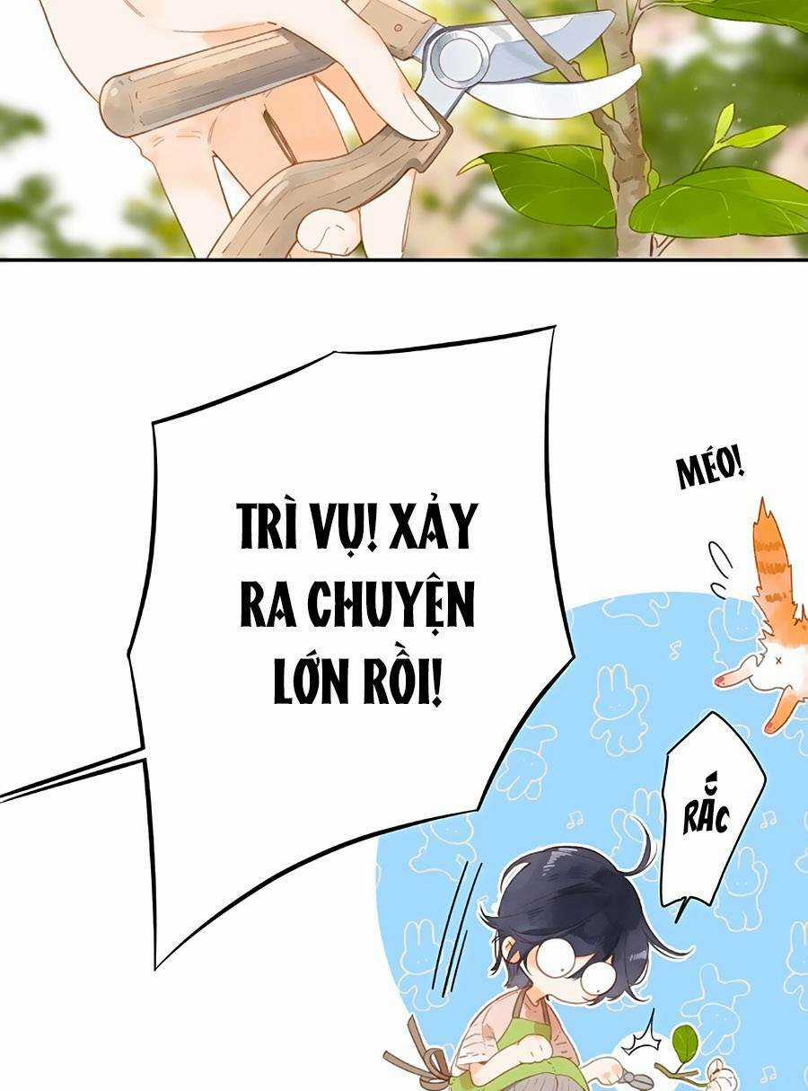 Tiệm Hoa Hướng Dương Góc Phố Chapter 9 trang 1