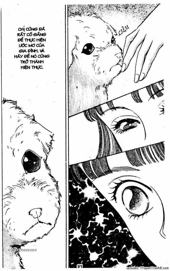 Tiệm Thú Kiểng Chapter 25 trang 37