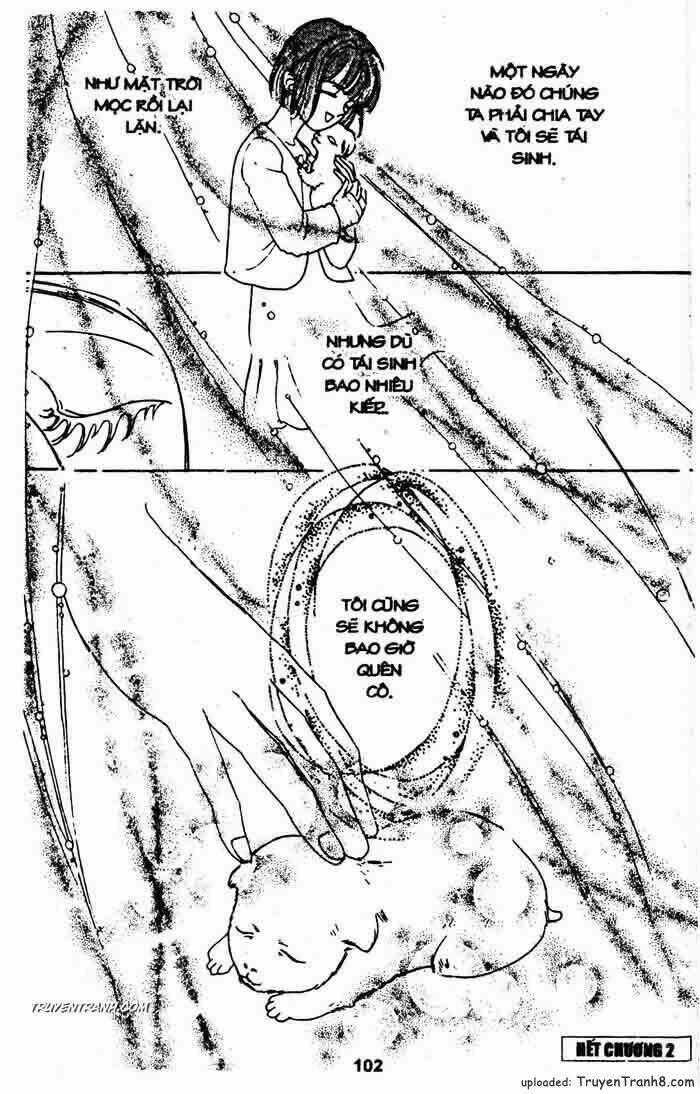 Tiệm Thú Kiểng Chapter 25 trang 47