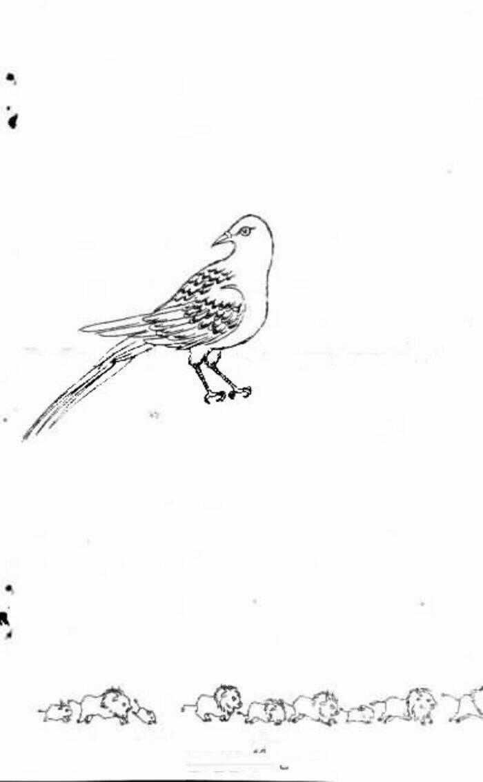 Tiệm Thú Kiểng Chapter 38 trang 50