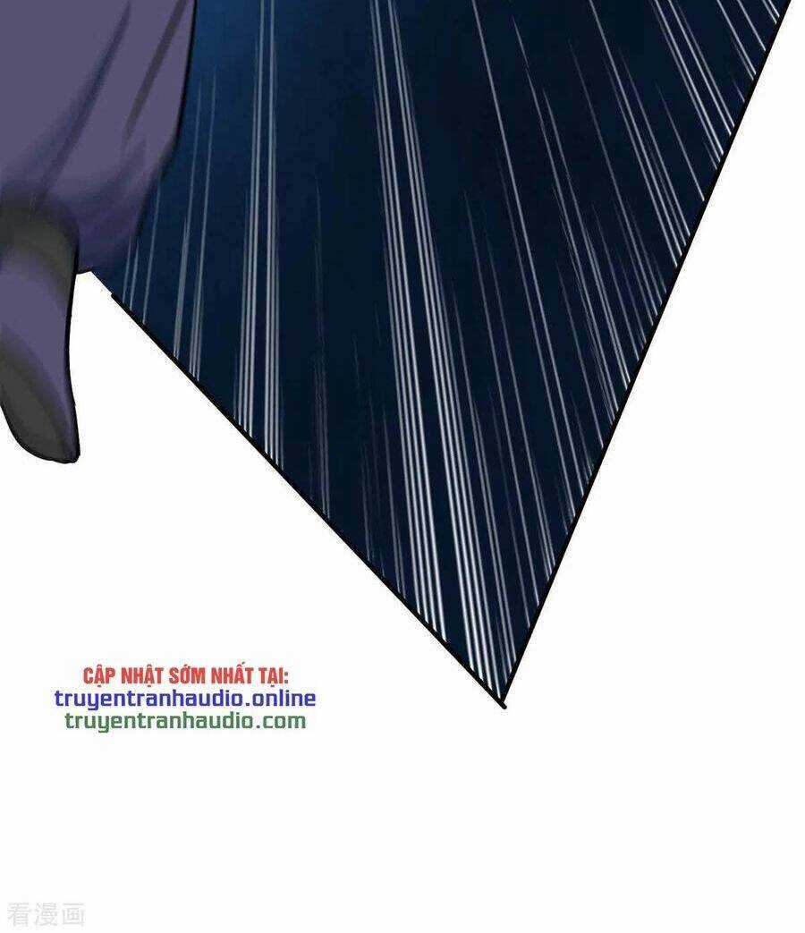 Tiên Đế Qui Lai Chapter 163 trang 27