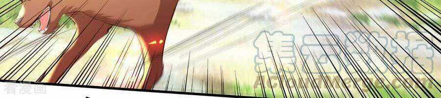 Tiên Đế Qui Lai Chapter 226 trang 37