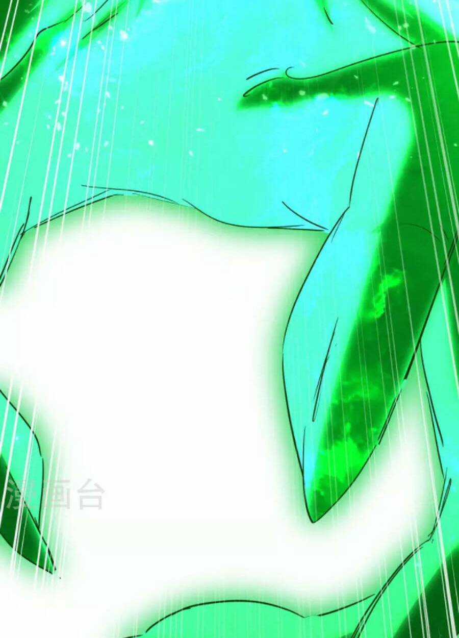 Tiên Đế Qui Lai Chapter 266 trang 15