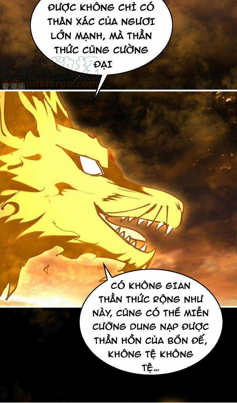 Tiên Đế Qui Lai Chapter 308 trang 24